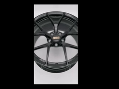 Preto do brilho do abeto do BBS